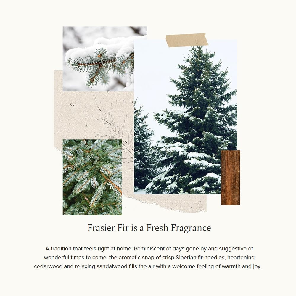 Frasier Fir Soft Surface Scrub Multipurpose Cleaner Pine Scent 11.5 Fl Oz