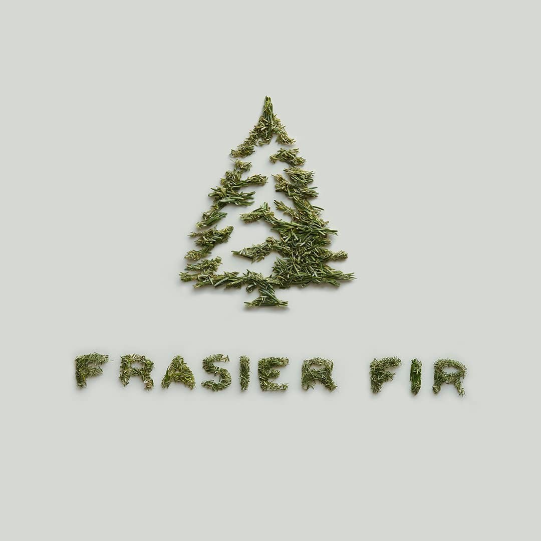 Frasier Fir Soft Surface Scrub Multipurpose Cleaner Pine Scent 11.5 Fl Oz