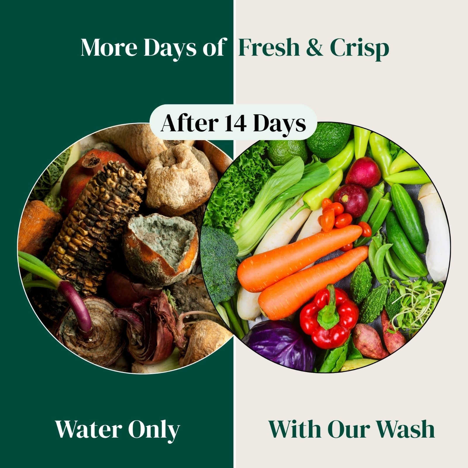 Natural Fruit & Vegetable Wash Powder – Produce Cleaner, Dirt & Residue Remover