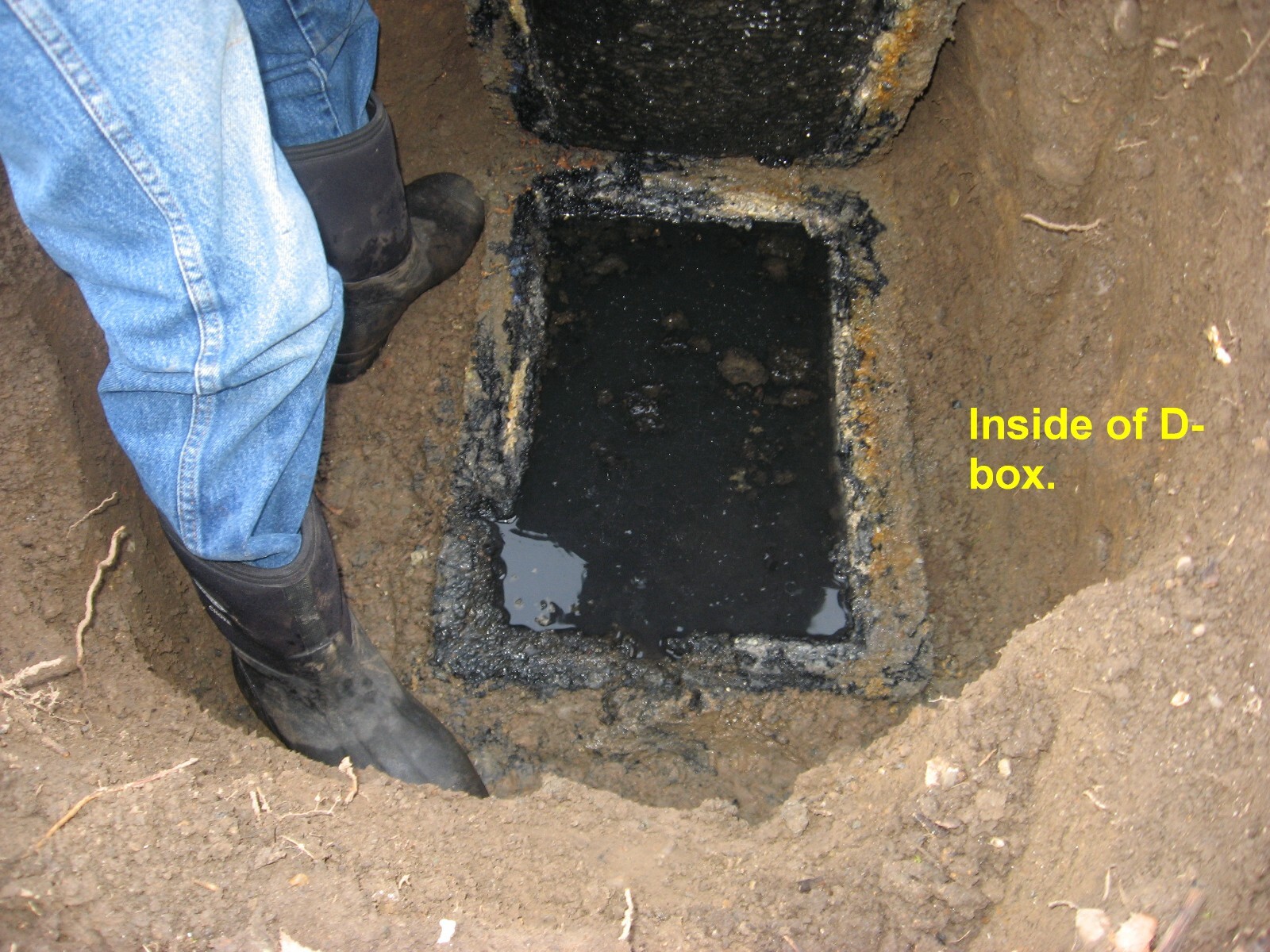 Bio-Safe One, Inc -Level 1 Shock BIO-112 Heavy Sludge & 3 YR BOSS – 42 Mo Supply