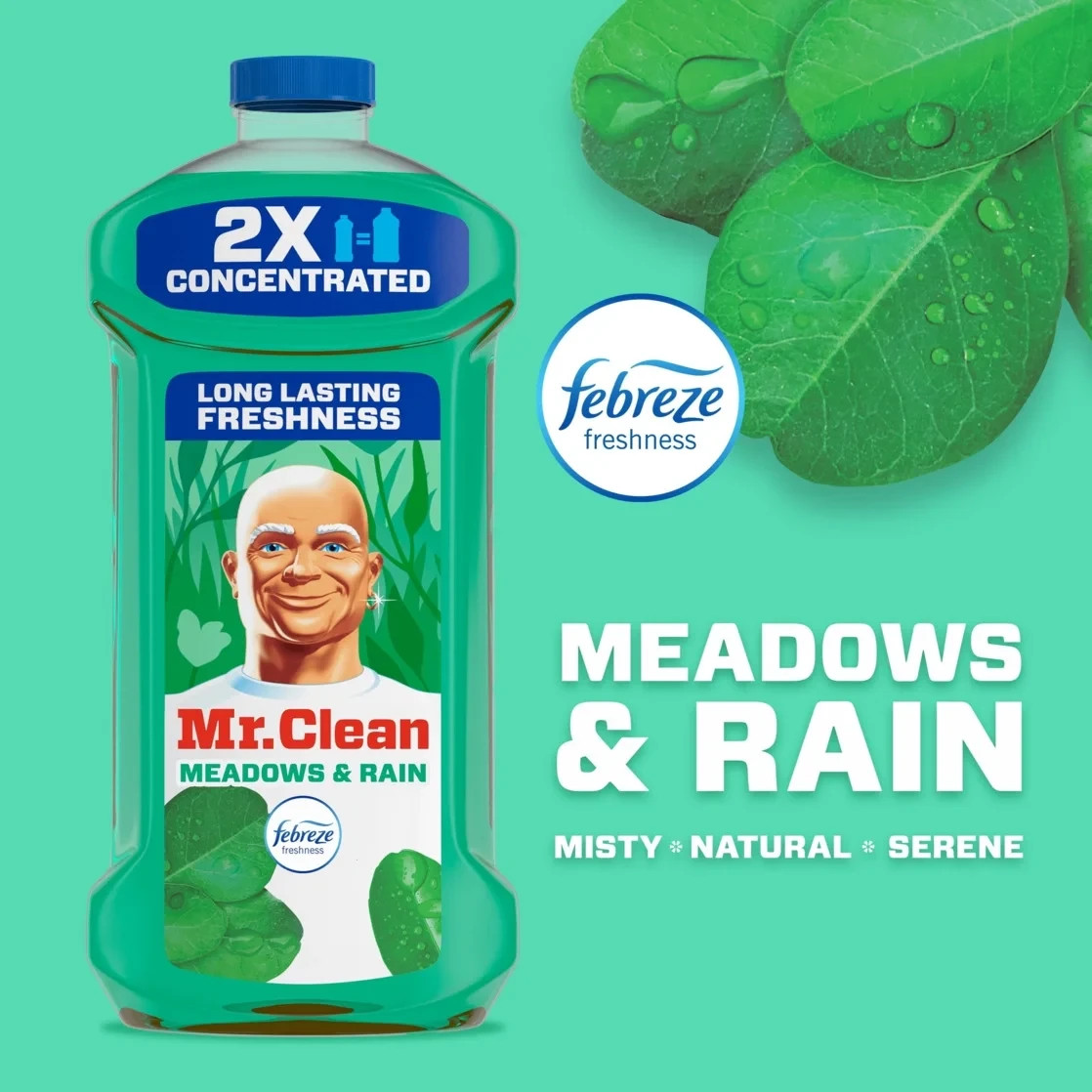 2X Concentrated Multi Surface All Purpose Cleaner Meadows Rain Scent 41oz