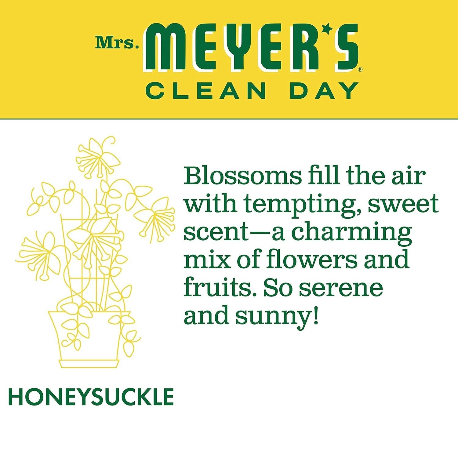 Mrs. Meyer’s Clean Day Liquid Dish Soap, Honeysuckle, 16 Ounce