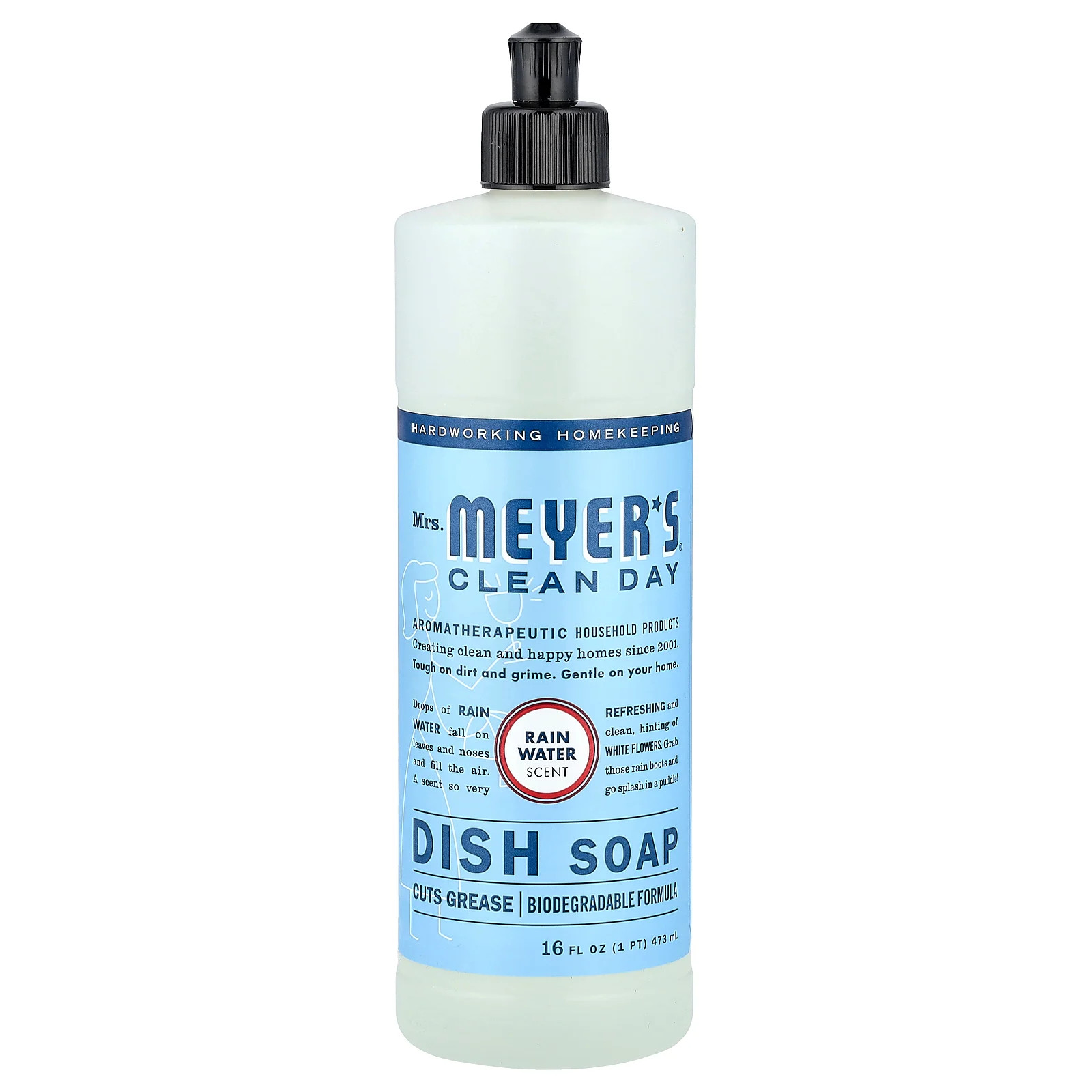 Dish Soap, Rain Water, 16 fl oz (473 ml)